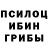Галлюциногенные грибы Psilocybe Pasha_bim
