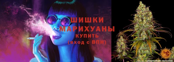 гидропоника Вязьма