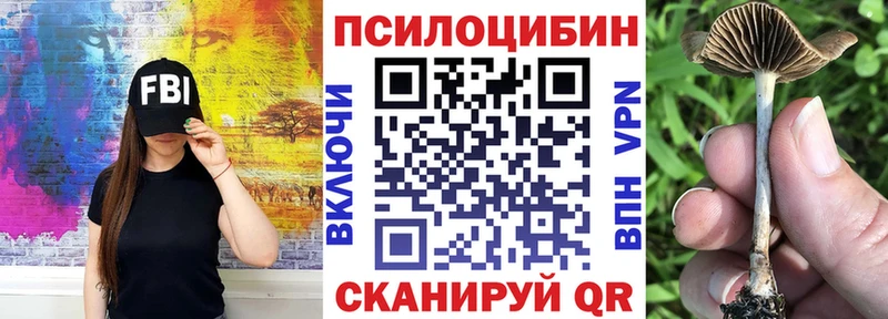 Галлюциногенные грибы Cubensis  где купить наркоту  Иваново 